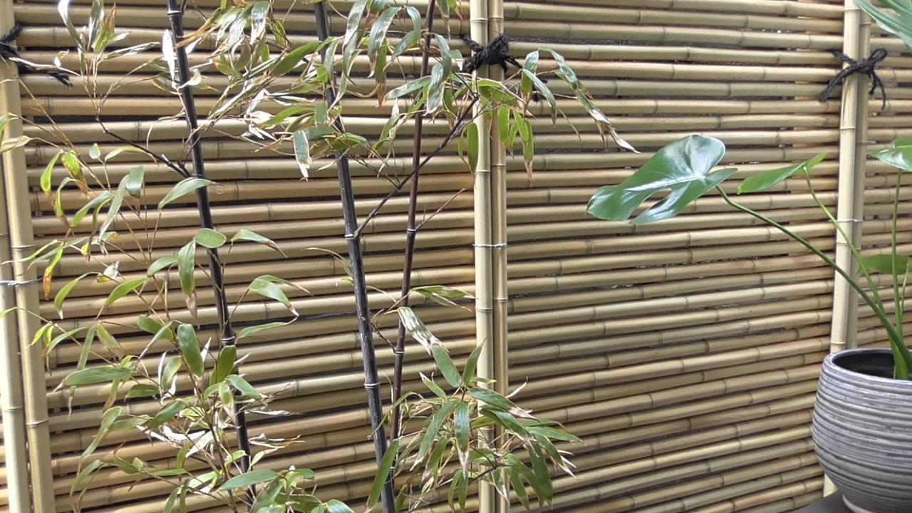 Villa Daimaru-Un à Kanazawa Extérieur photo